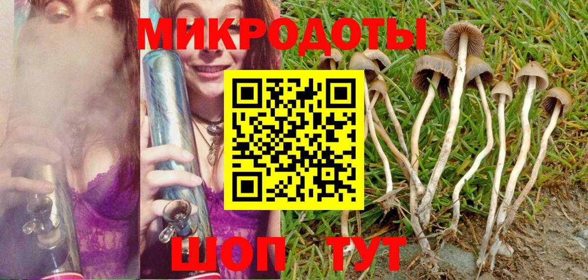 Галлюциногенные грибы мицелий Петровск