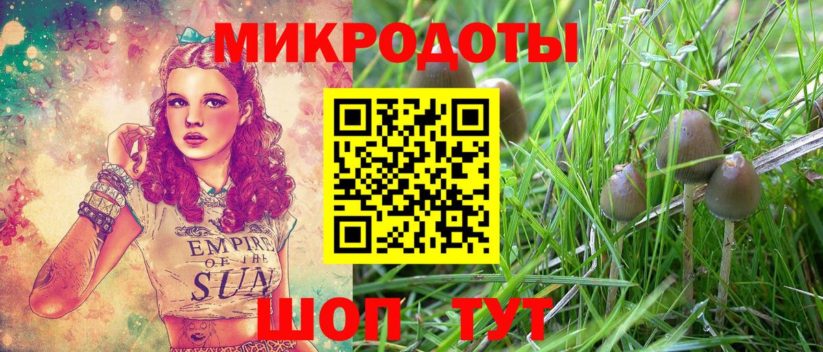 Галлюциногенные грибы мицелий Петровск