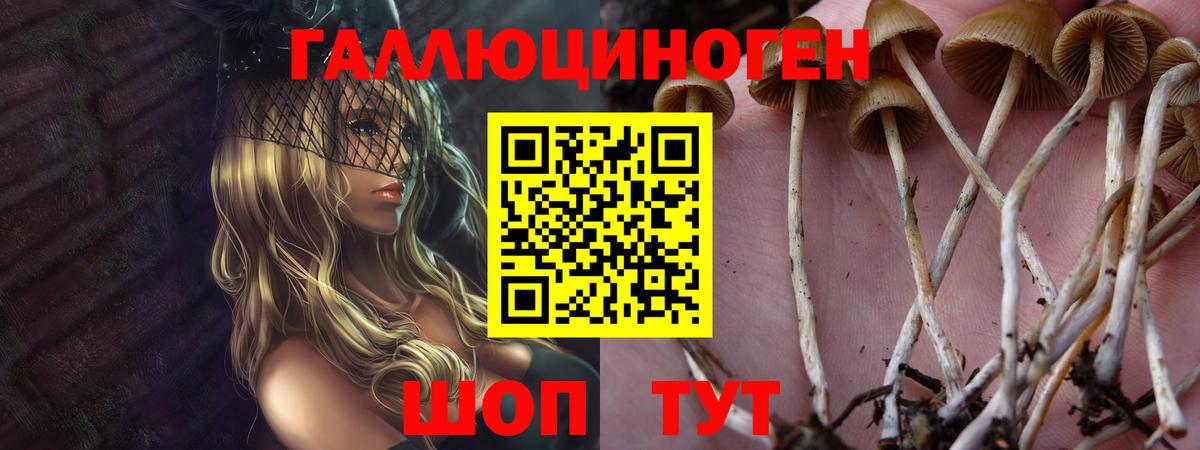 Галлюциногенные грибы ЛСД  Вход с VPN  Петровск 