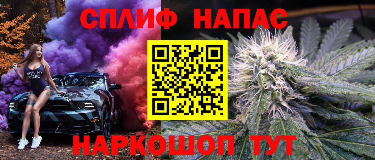 Конопля сатива Петровск